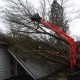 Fallen Tree Removal